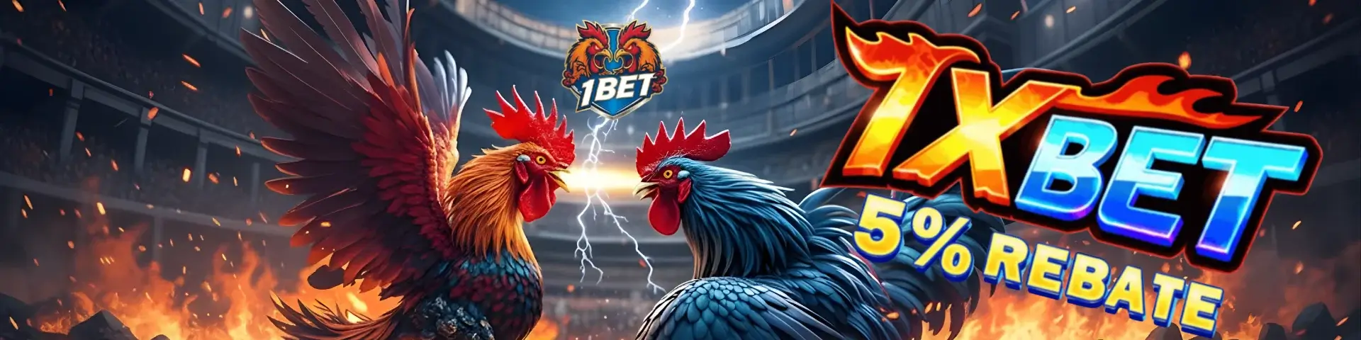 1766736322393_斗鸡1920x480